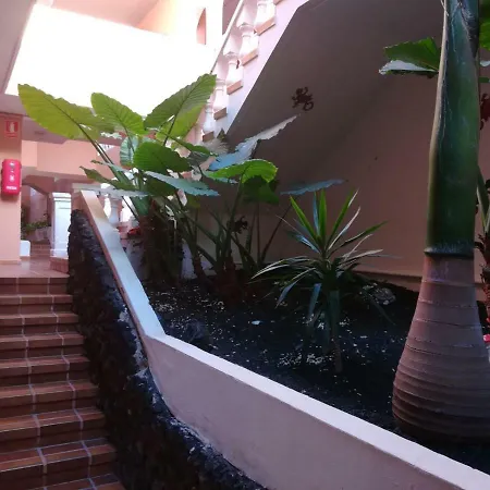 Amazing Flat In Costa Adeje Apartment *